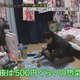 Illustration for article titled Japanese Media Seems to Want Otaku to be More Otaku-ish